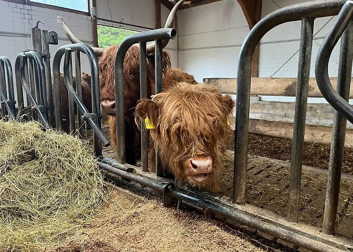 아파트 Schoene Aussicht!